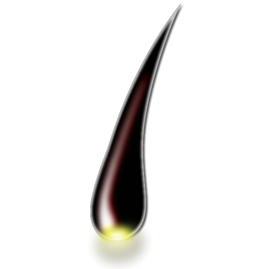 ポイント1