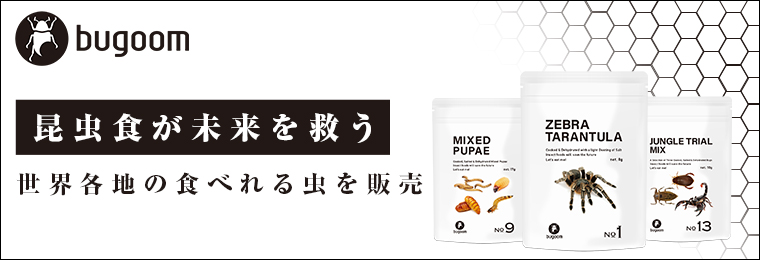 スライドバナー