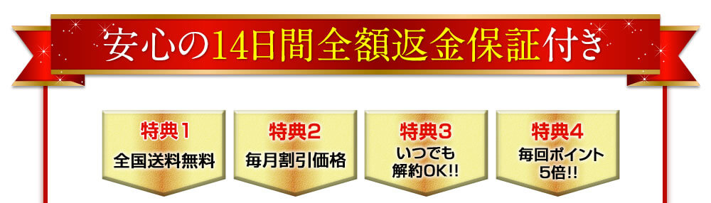 定期コースに初めて申し込まれる方限定