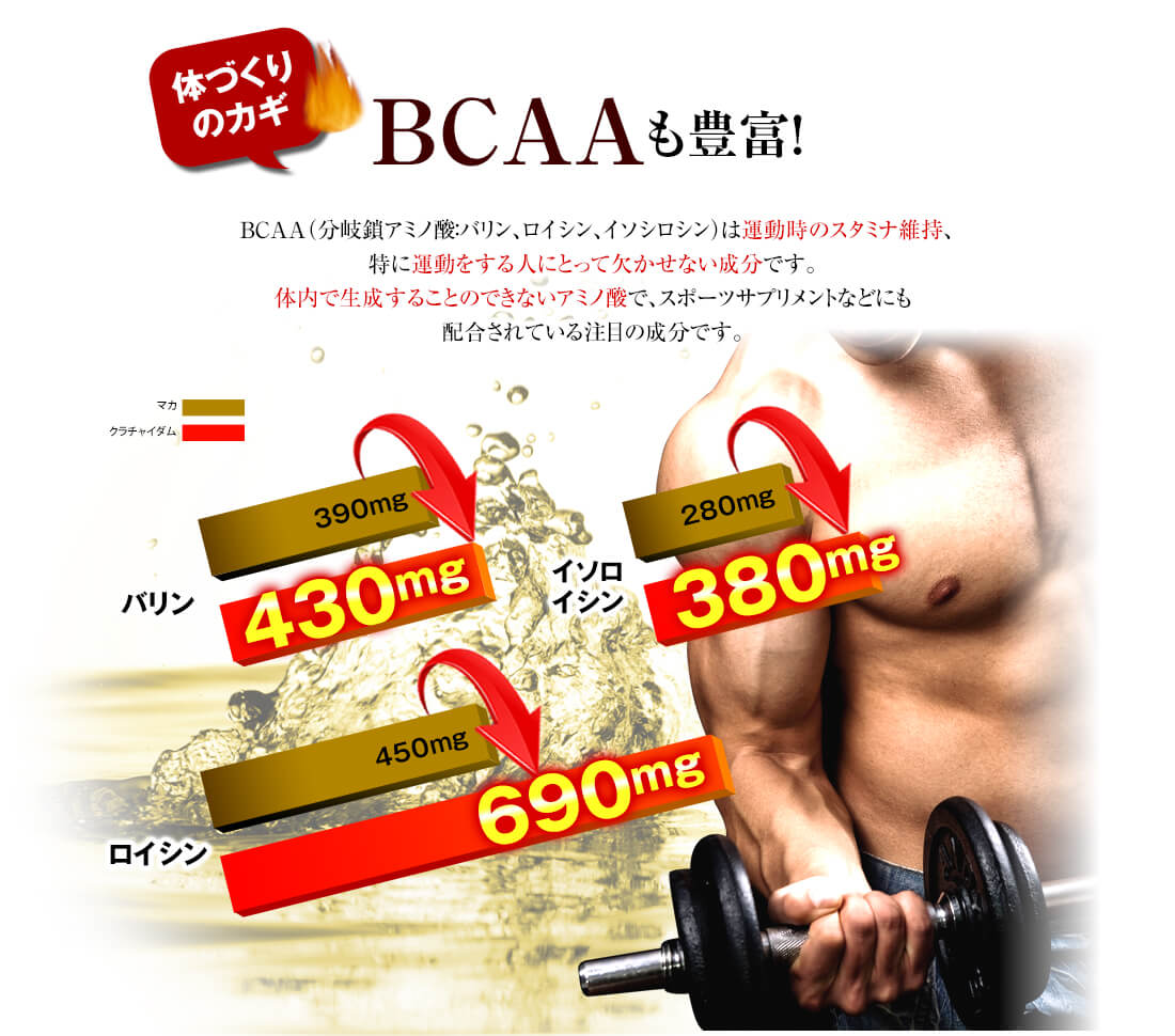 筋肉維持のカギBCAA（バリン・ロイシン・イソロイシン）も豊富