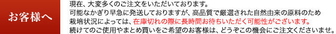 お客様へ 在庫切れの際に長時間お待ちいただく可能性がございます。