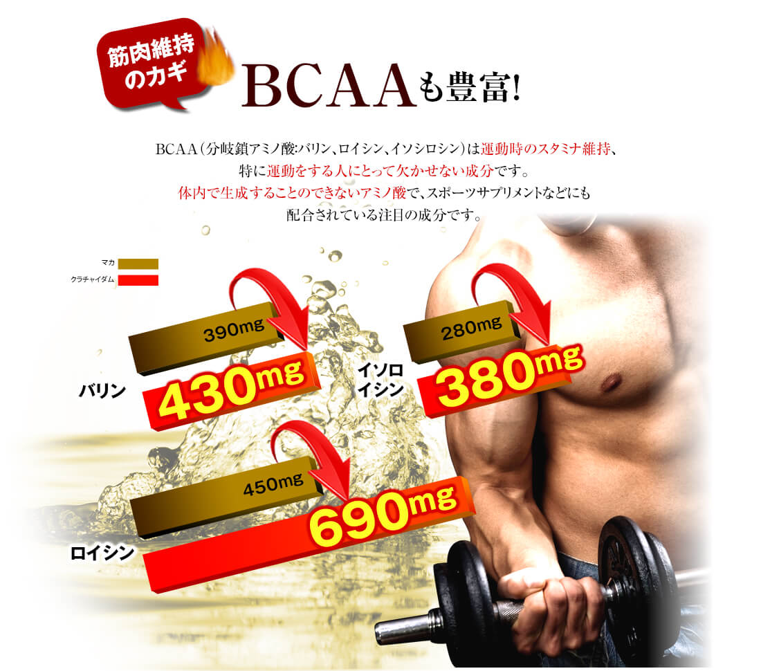 筋肉維持のカギBCAA(バリン・ロイシン・イソロイシン)も豊富