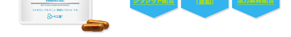 シラジット摂取を推奨!!