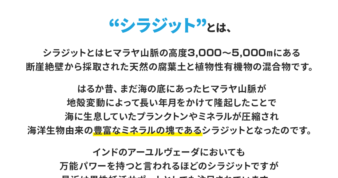 万能パワーを持つと言われるほどのシラジットですが最近は妊活サポートとしても注目されています