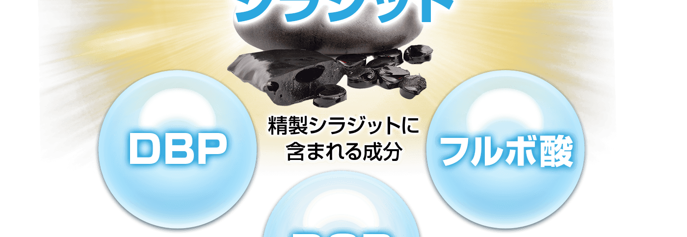 精製シラジットに含まれる成分 DBP、DCP、フルボ酸
