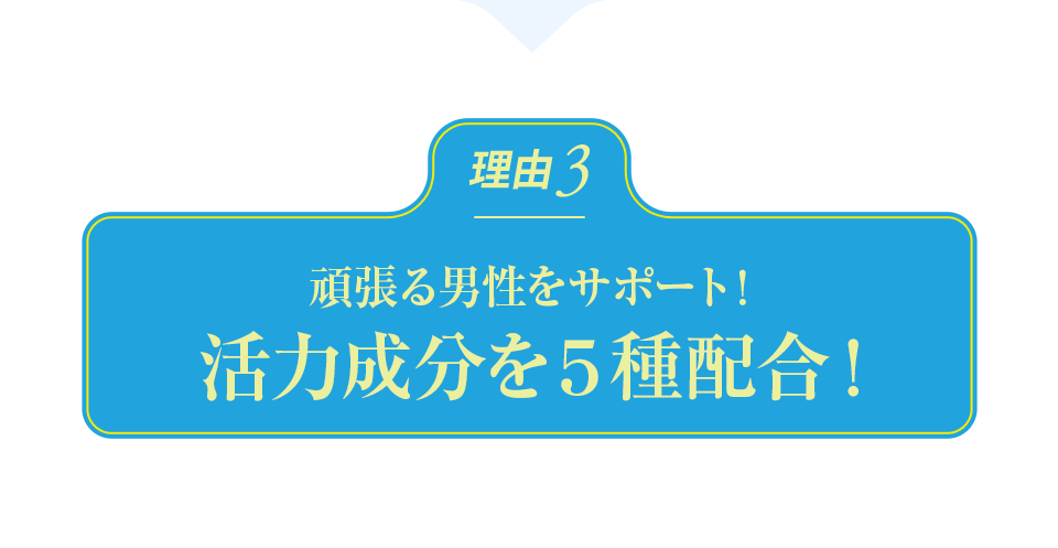 頑張る男性をサポート!活力成分を5種配合!