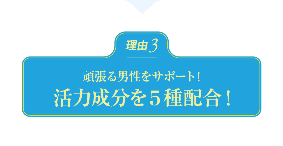 頑張る男性をサポート！活力成分を5種配合！