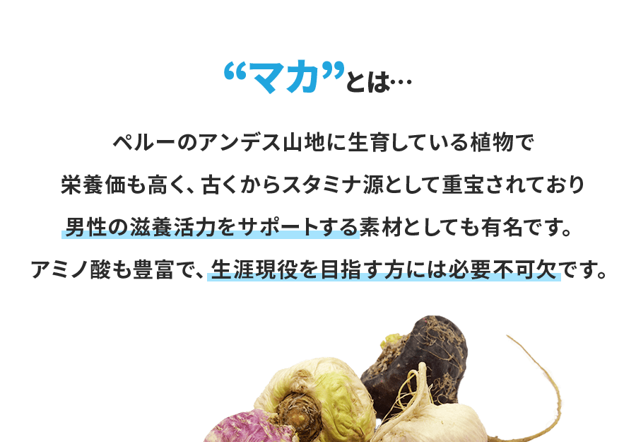 マカとは、男性の滋養活力をサポートする素材