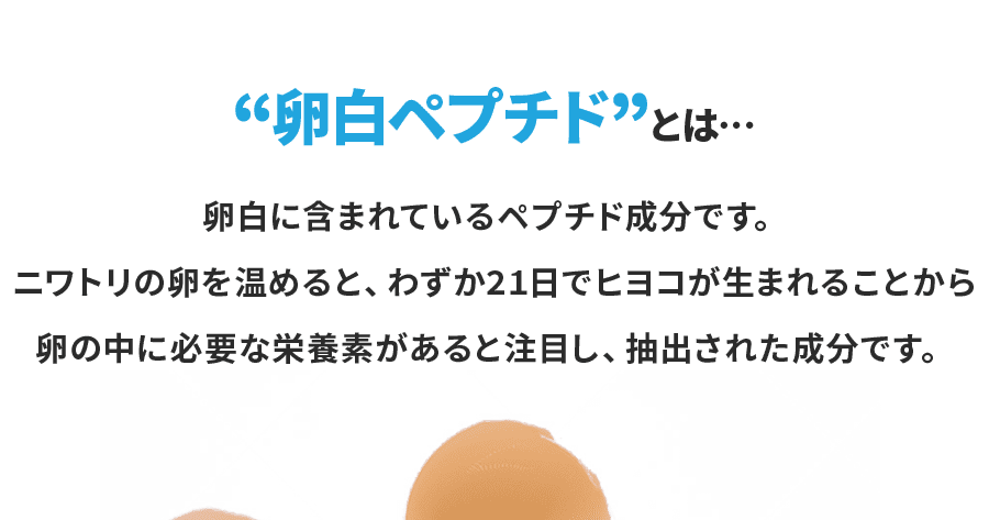 卵黄ペプチドとは、卵黄に含まれているペプチド成分です