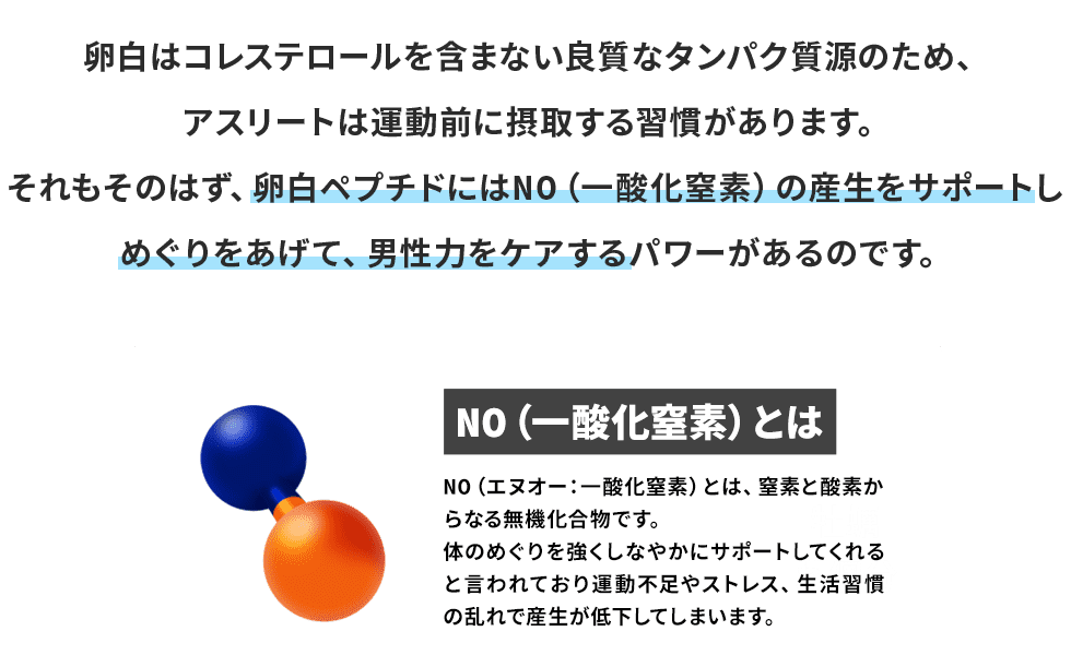 卵黄ペプチドにはNO（一酸化窒素）の産生をサポートし、めぐりをあげて、男性力をケアするパワーがあるのです