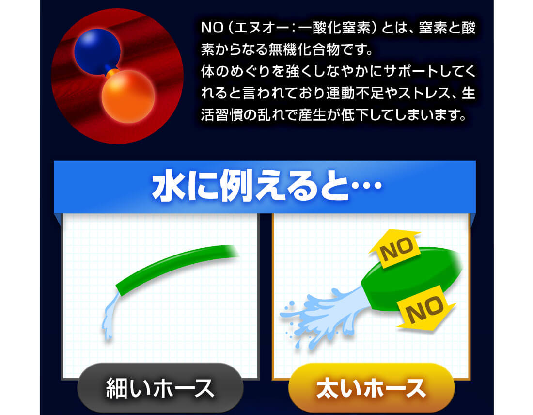 アルギニンの量が全然違う