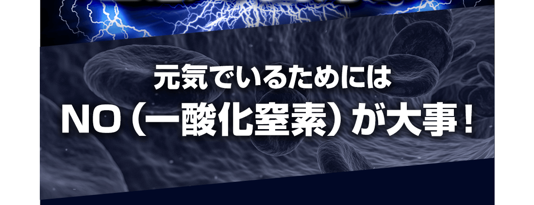 サイクルでNOサポート