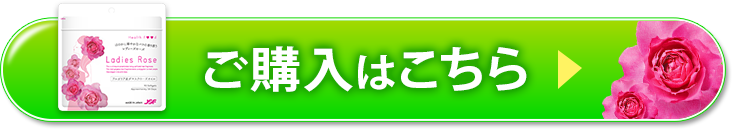 ご購入はこちら