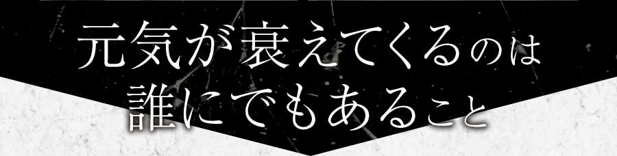 元気が衰えてくるのは誰にでもあること