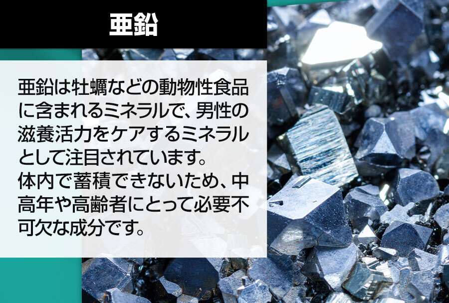 亜鉛は、男性の滋養活力をケアするミネラルとして注目されています